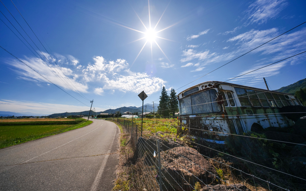 駆け抜けた道