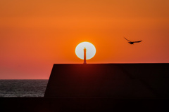 雄飛と夕陽