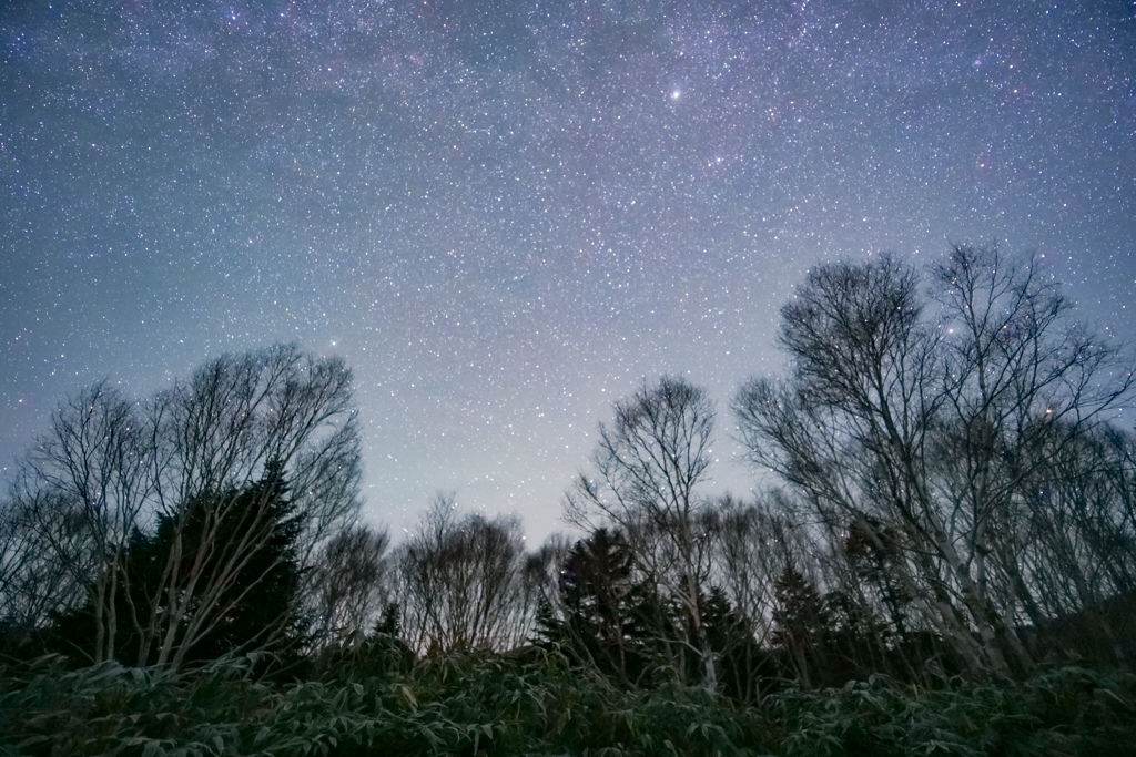 満天の夜空