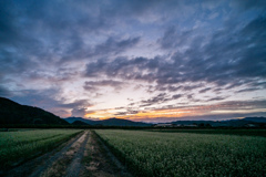 夕暮れへと続く道