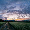 夕暮れへと続く道