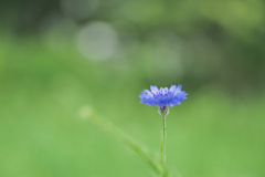 一点