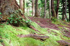 道