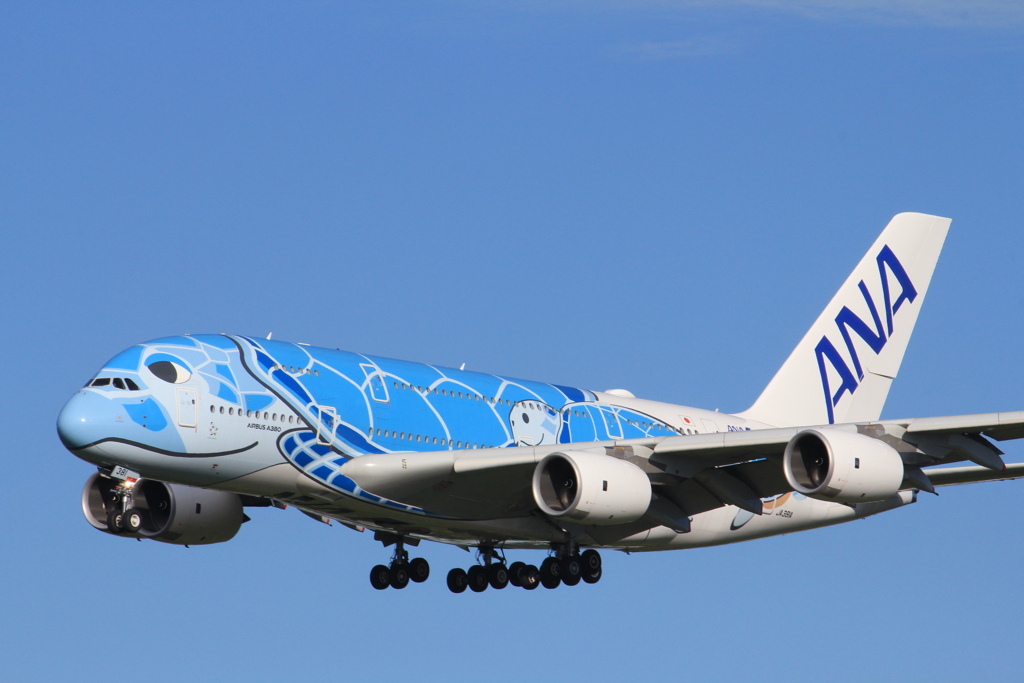 成田空港　A380　ANA遊覧飛行　着陸