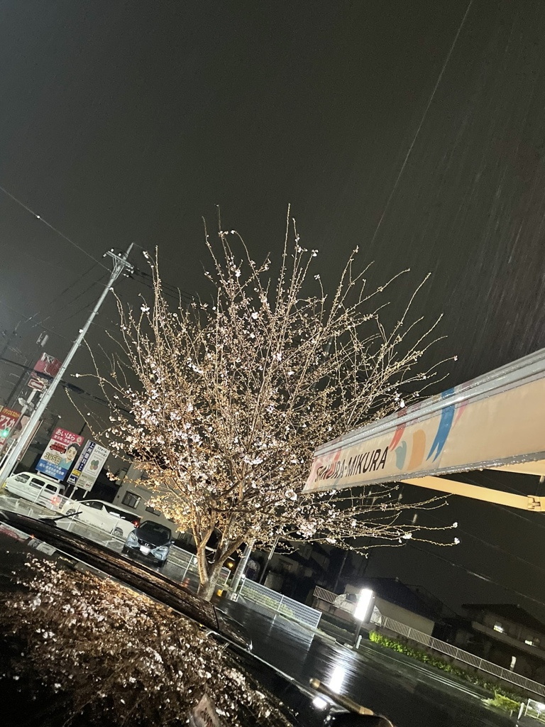 空桜