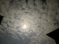 羊雲で眠る月