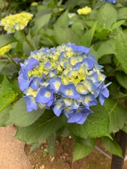 18812A12-6E0B-46A7-ADD1-A4CBEF67DB4F