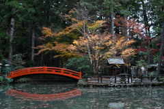 小國神社_紅葉①