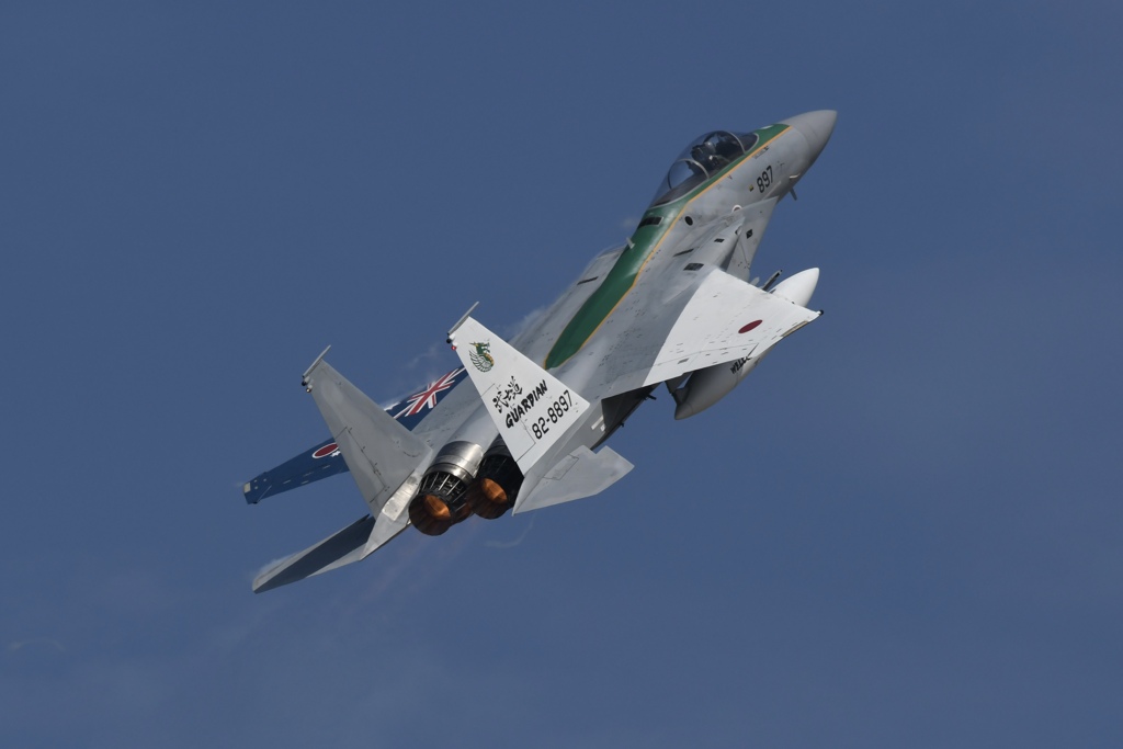 F-15J_897_日豪共同訓練特別塗装機