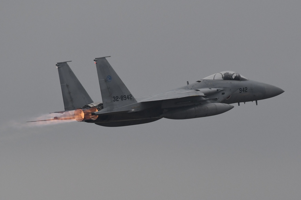 岐阜基地航空祭①_F-15J_942