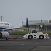 ANA_B737_Pushback