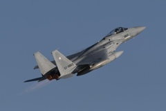 F-15J_863_305sq