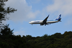 ANA_B737_Approach