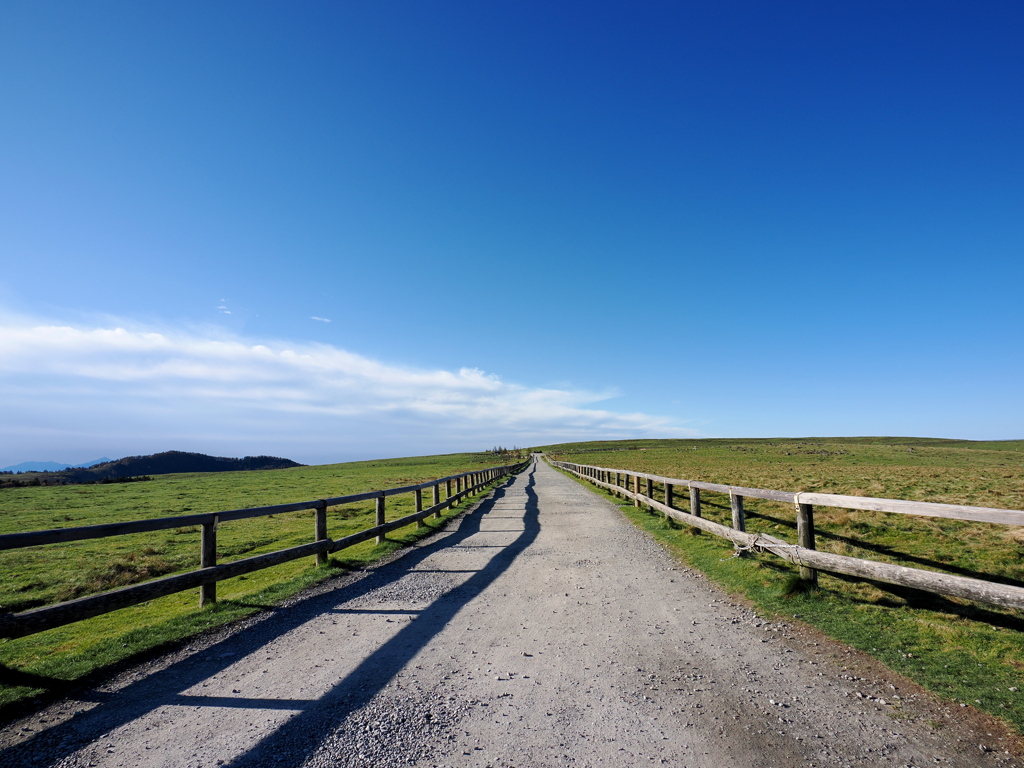 真っ直ぐに、どこまでも。