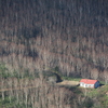白樺林にある赤い屋根の小屋