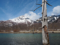 山は在り、川は流れる。