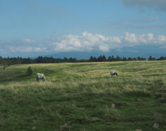 高原風景