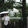 飛び立つ鳥と動じない女②