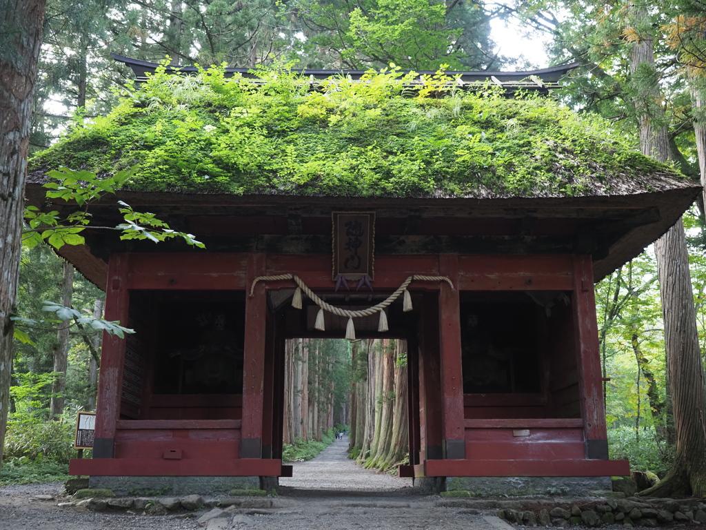 古門と緑