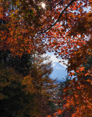 紅葉覗き富士(縦構図)