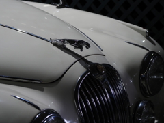 JAGUAR MKⅡ 240