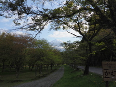 あまり見ない富士山