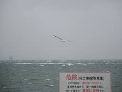 私、飛べますので。