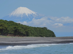 富士山登場ドドンッ！