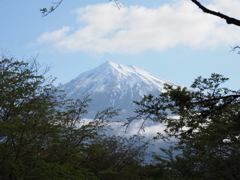 あまり見ない富士山