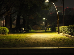 深夜ドライブ-真夜中の公園