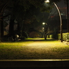 深夜ドライブ-真夜中の公園
