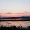 水田に映る夕焼け