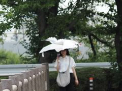 飛び立つ鳥と動じない女③