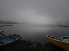 Foggy Lake