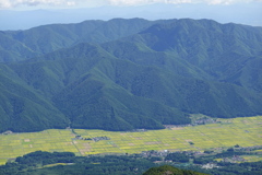 もえぎ色の大河