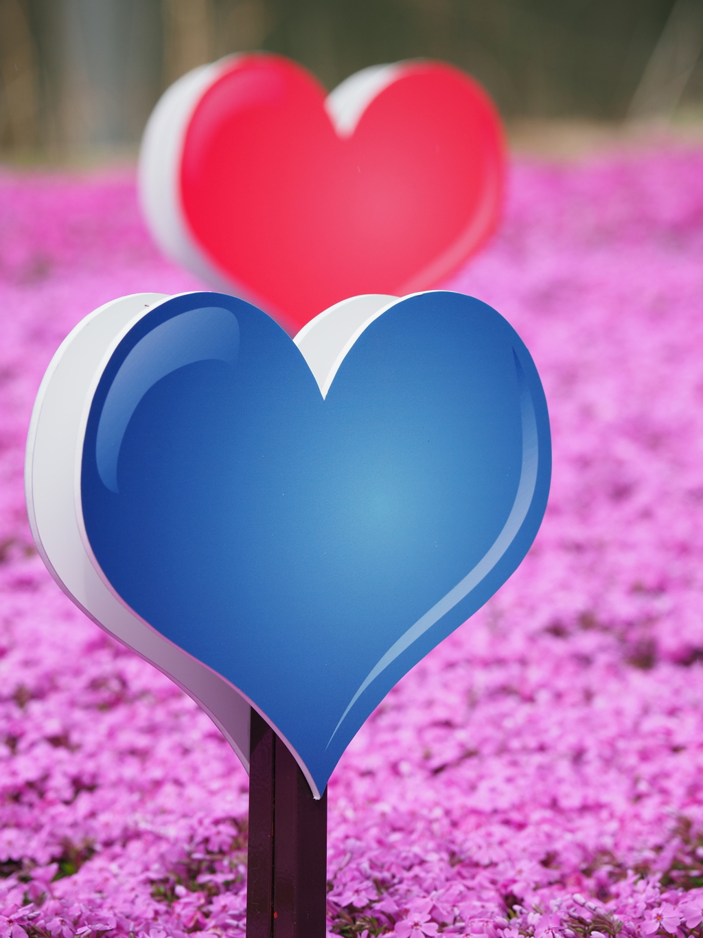 ♡ to ♡