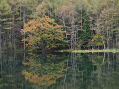 秋の御射鹿池②