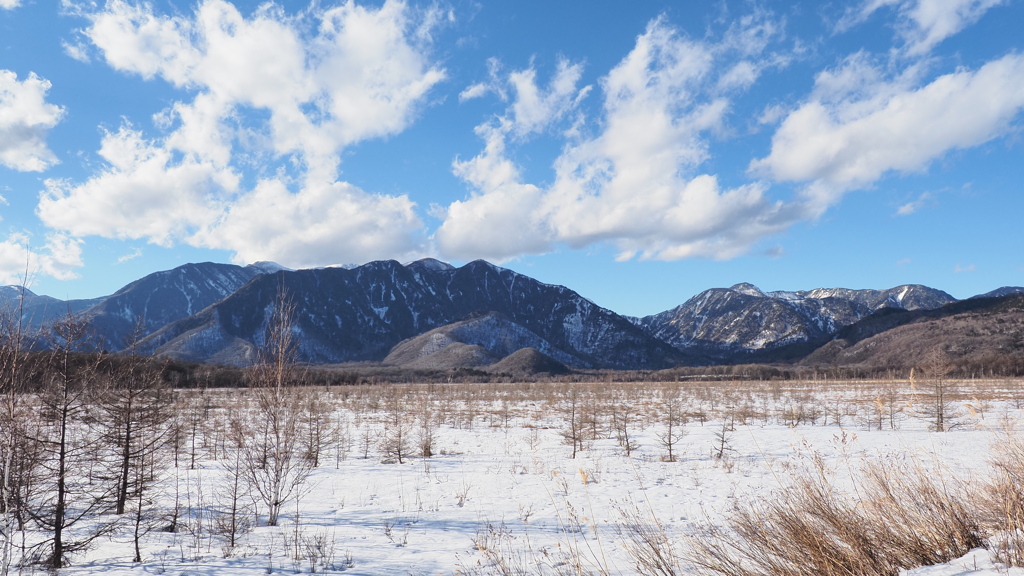 雪の平原