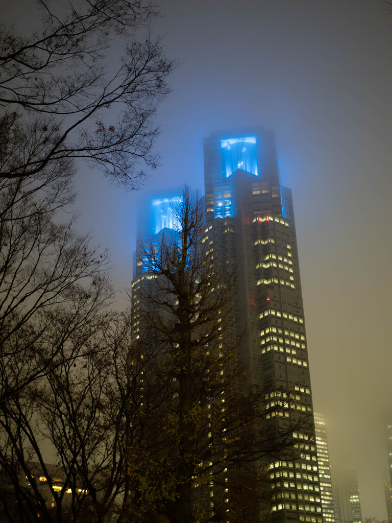 青は理性･知性･誠実の象徴