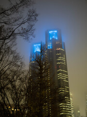 青は理性･知性･誠実の象徴