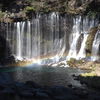 透き通る水の調べ