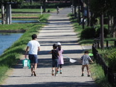 ひと夏の思い出