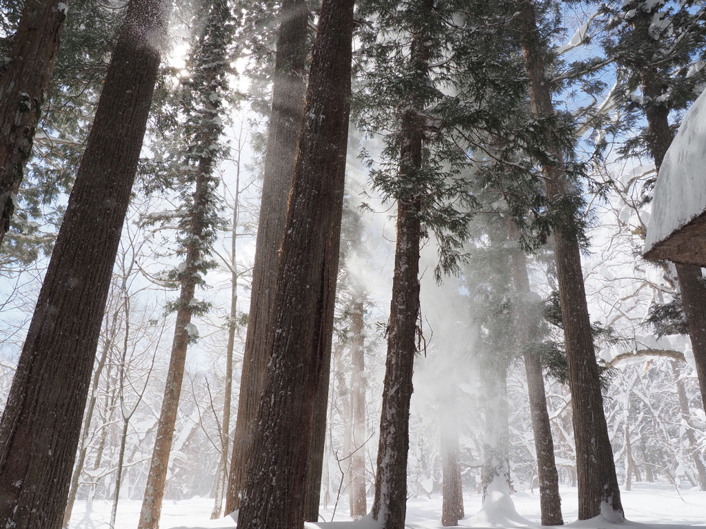 雪霞