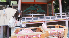 いい運を釣り上げろ！