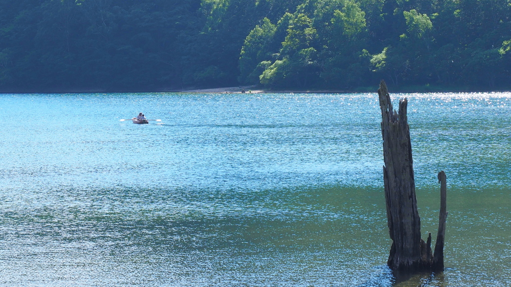 アトラクションもいいけど、ほぼほぼセイフティーな親子の冒険を。