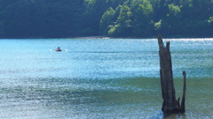 アトラクションもいいけど、ほぼほぼセイフティーな親子の冒険を。