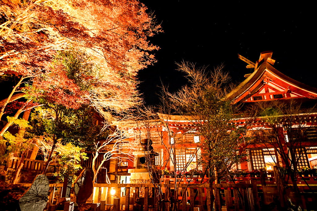 阿夫利神社