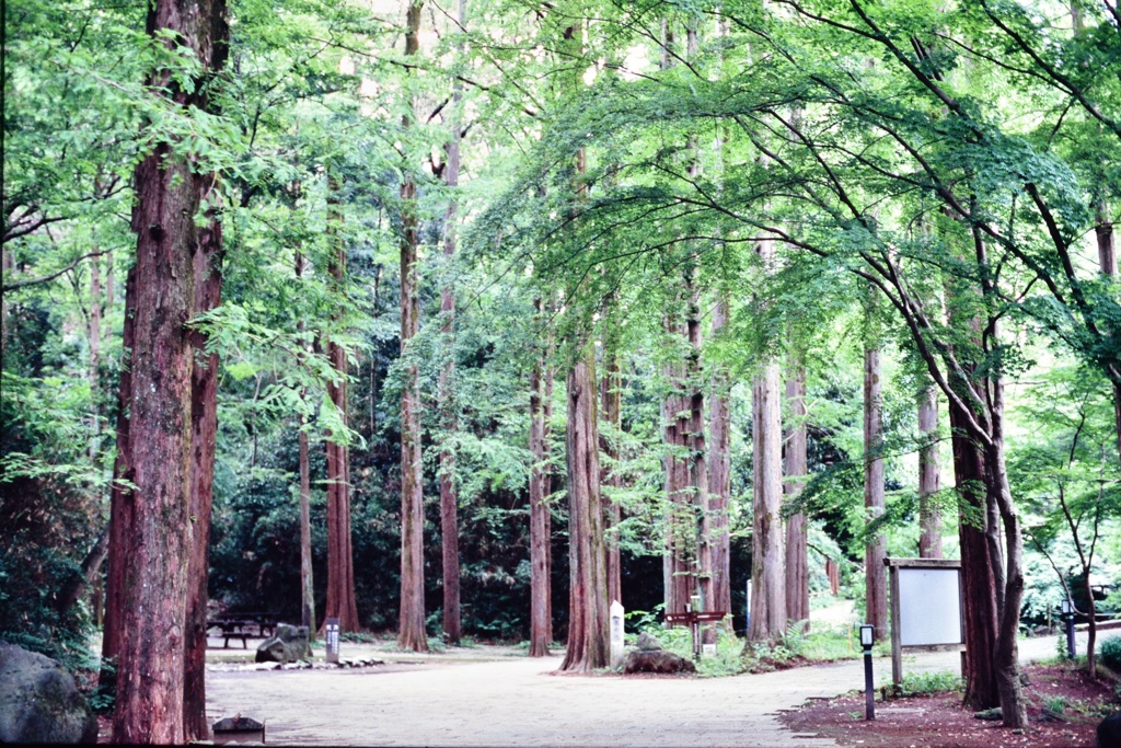 生田緑地