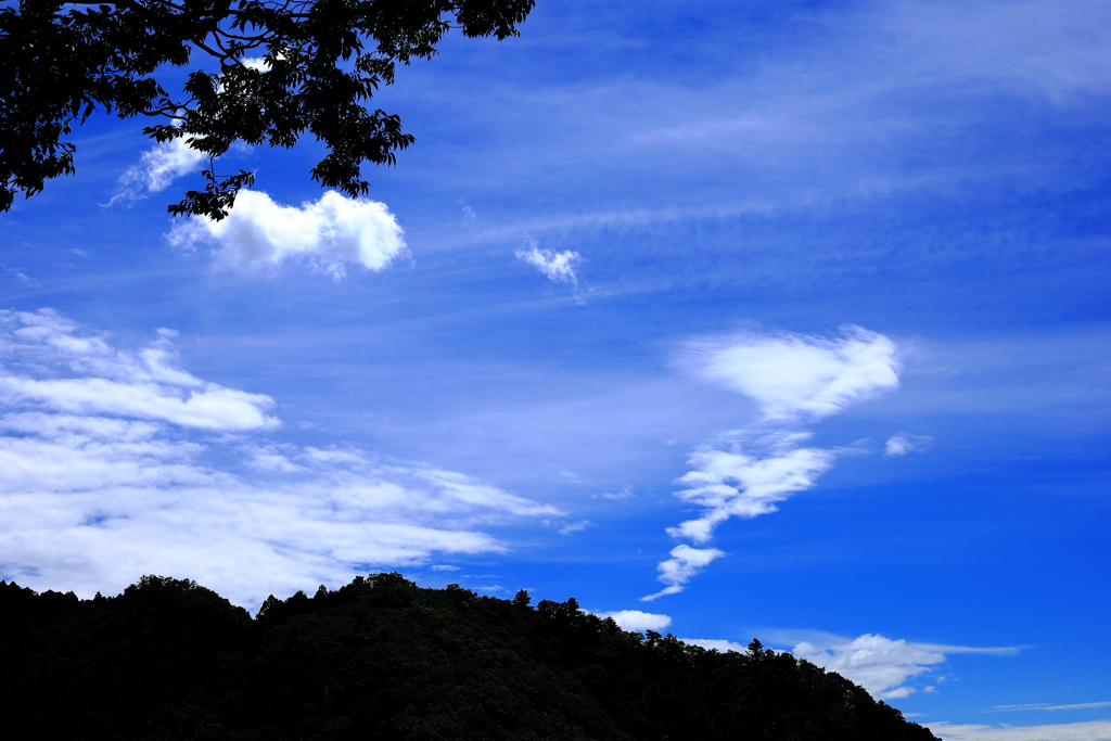 猛暑の宮ヶ瀬湖　走り去る雲