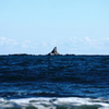 烏帽子岩